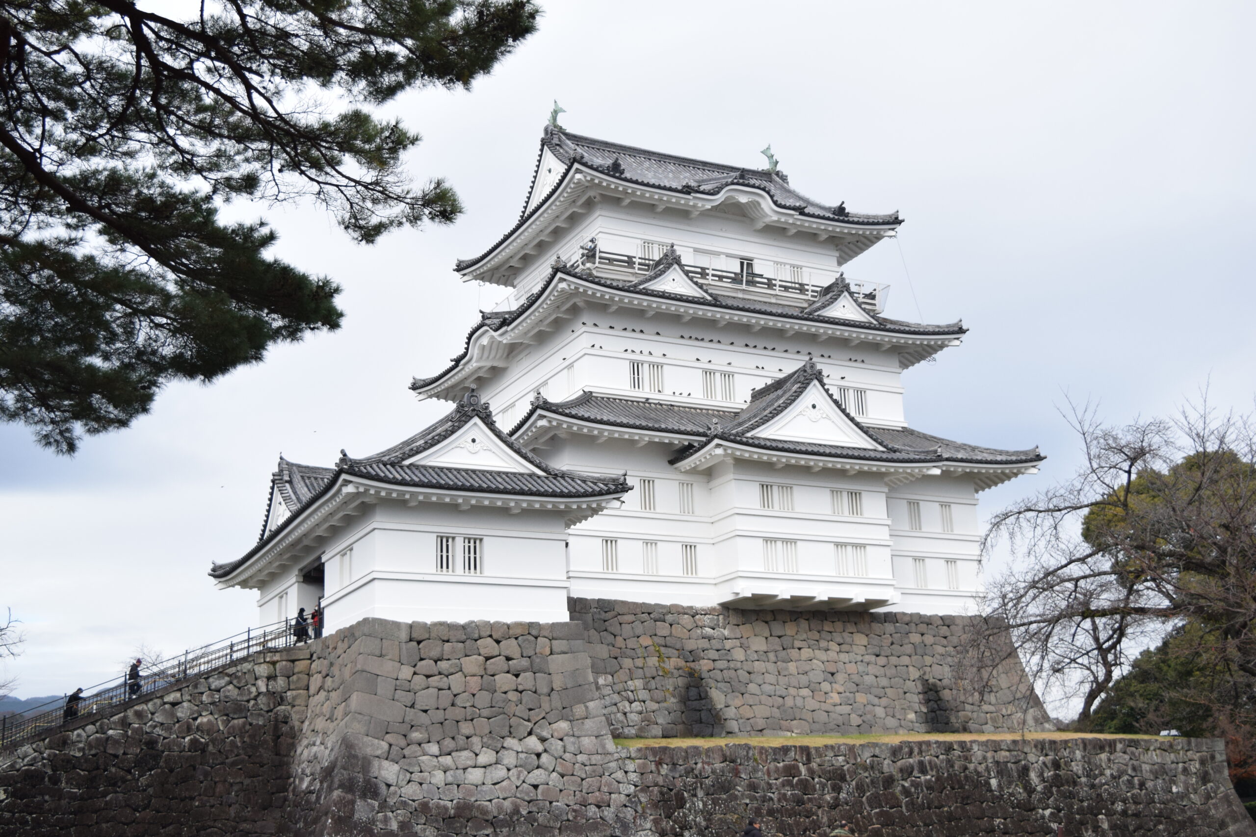 箱根へ忘年会旅行に行ってきました！
